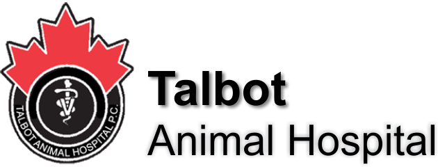 Our Team – Talbot Animal Hospital