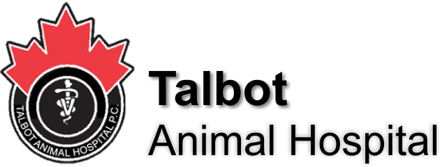 Talbot Animal Hospital